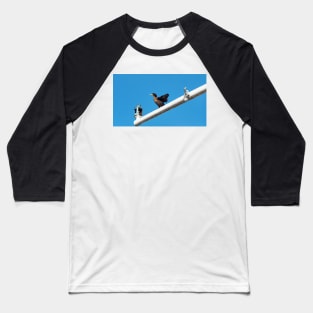 Double-crested Cormorant Stretching On a Light Pole Baseball T-Shirt
